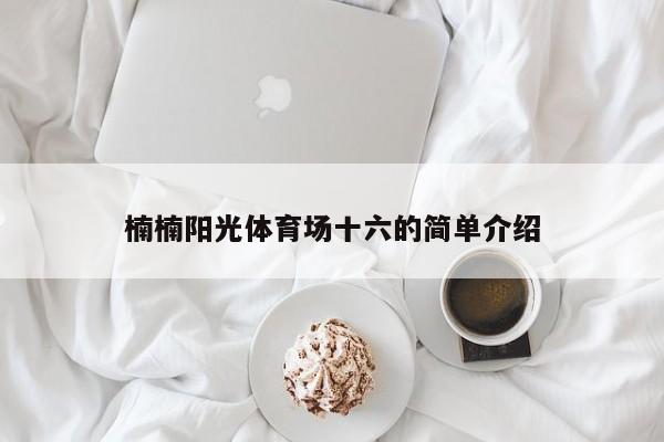 楠楠阳光体育场十六的简单介绍