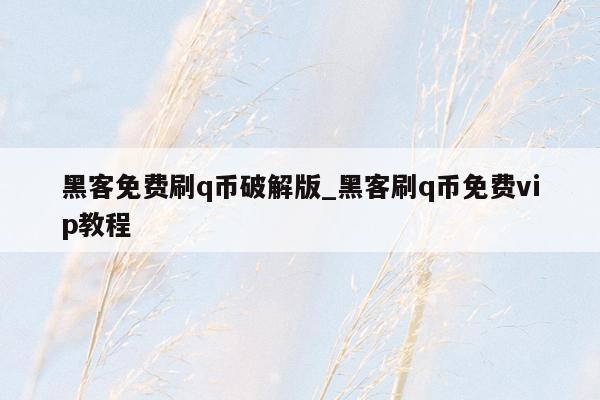黑客免费刷q币破解版_黑客刷q币免费vip教程