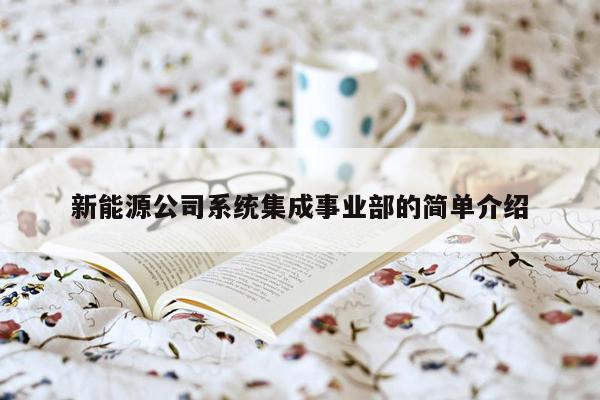 新能源公司系统集成事业部的简单介绍