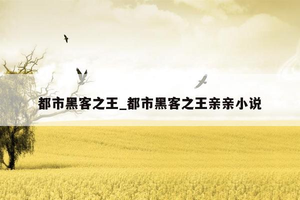 都市黑客之王_都市黑客之王亲亲小说