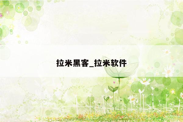 拉米黑客_拉米软件