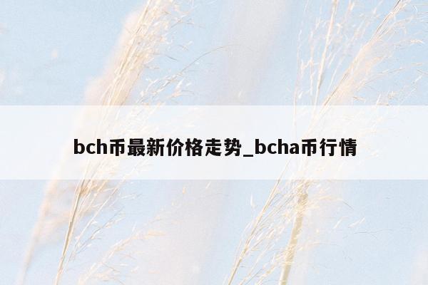 bch币最新价格走势_bcha币行情